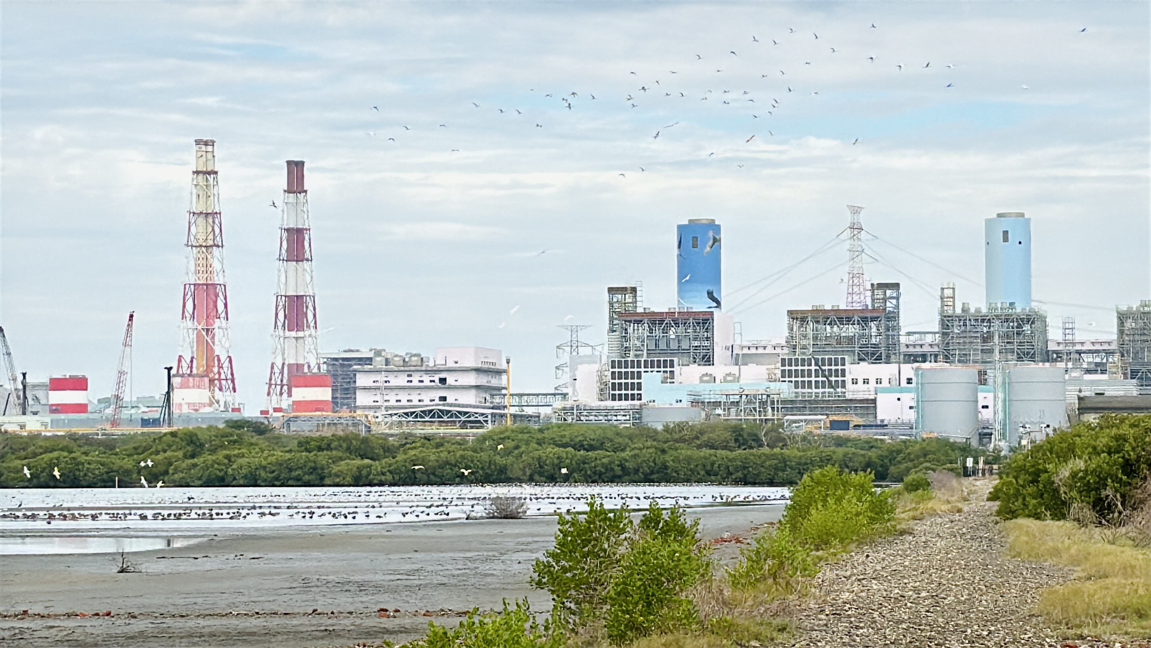 Taipower has invested in conserving Kaohsiung's Yong'an Wetland for over 10 years. Through scientific management and water level control technology, the wetland has been transformed into a 'Waterbird Hotel', providing an ideal migratory bird habitat and feeding ground.