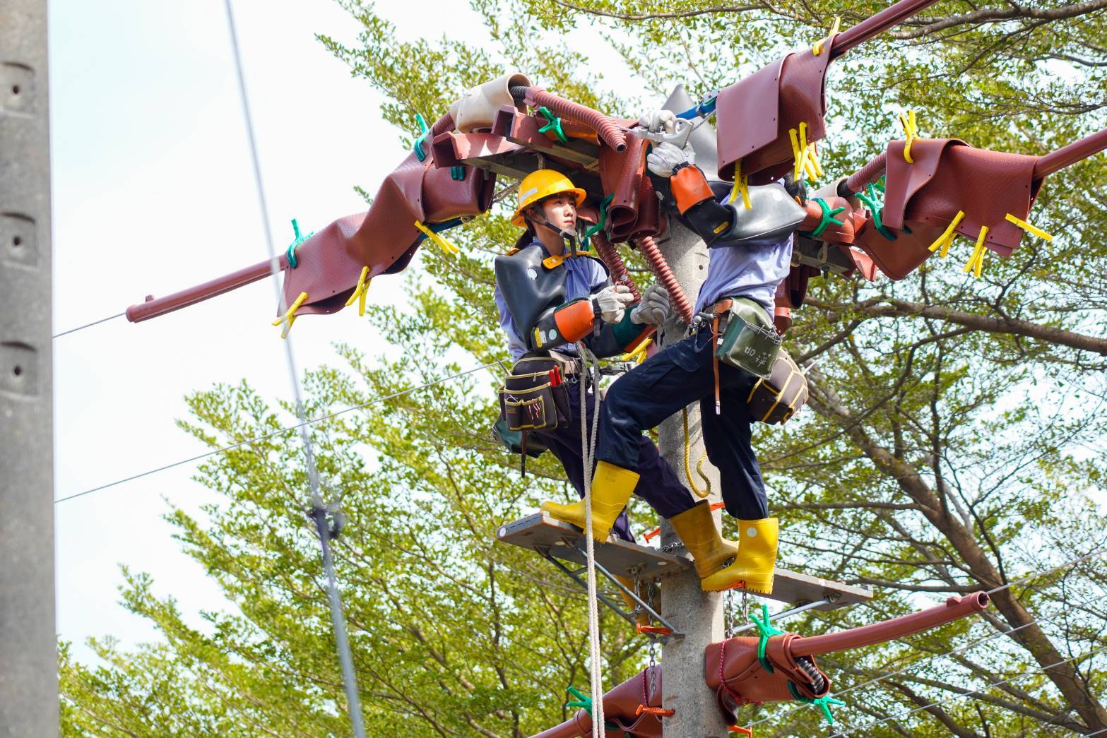 「台電版奧運」2023技能競賽今登場 千人參賽創新高