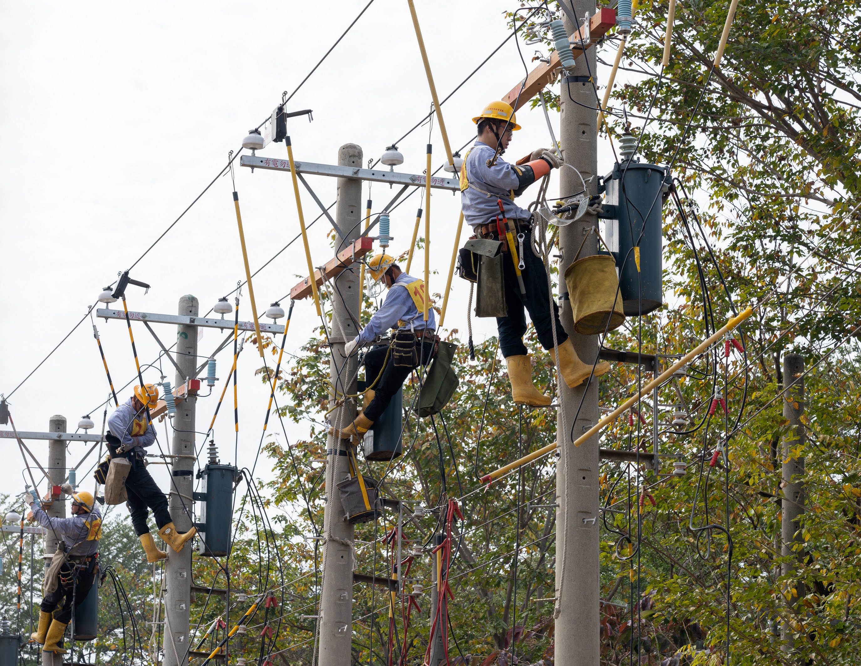 台電2023年僱員招考簡章今公告 明年1月3日來報名喔！